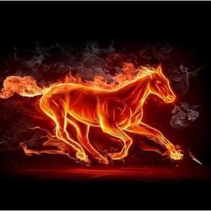 Meet your Posher, Demiko